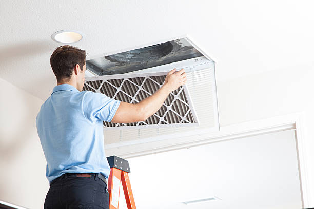 Best Best HVAC companies  in Carroll, IA
